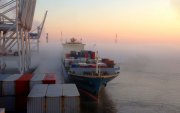 1_Mist-on-the-Savannah-River