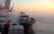 1_Mist-on-the-Savannah-River