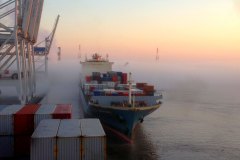 1_Mist-on-the-Savannah-River