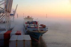 Mist-on-the-Savannah-River