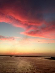 1_Savannah-sunrise
