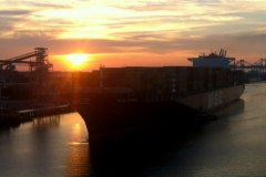 1_MSC-Roma-Savannah-Port